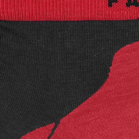 RU4 Endurance Short Men Running Short sock