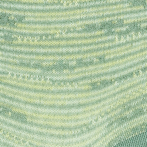 Family Special Edition Women Socks