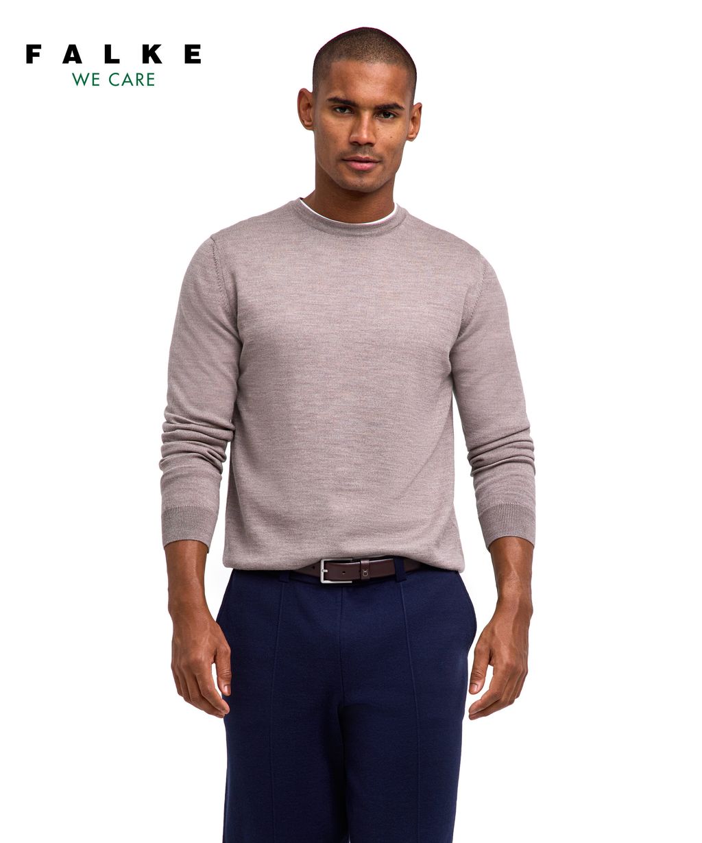 Men Pullover