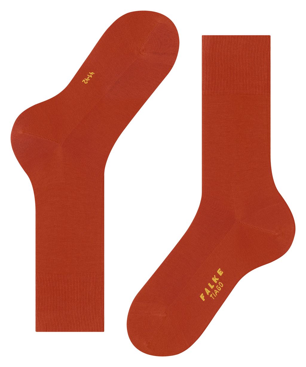 Tiago Men Socks