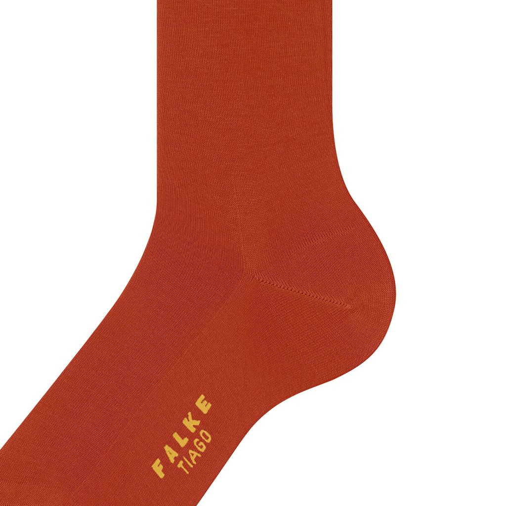Tiago Men Socks