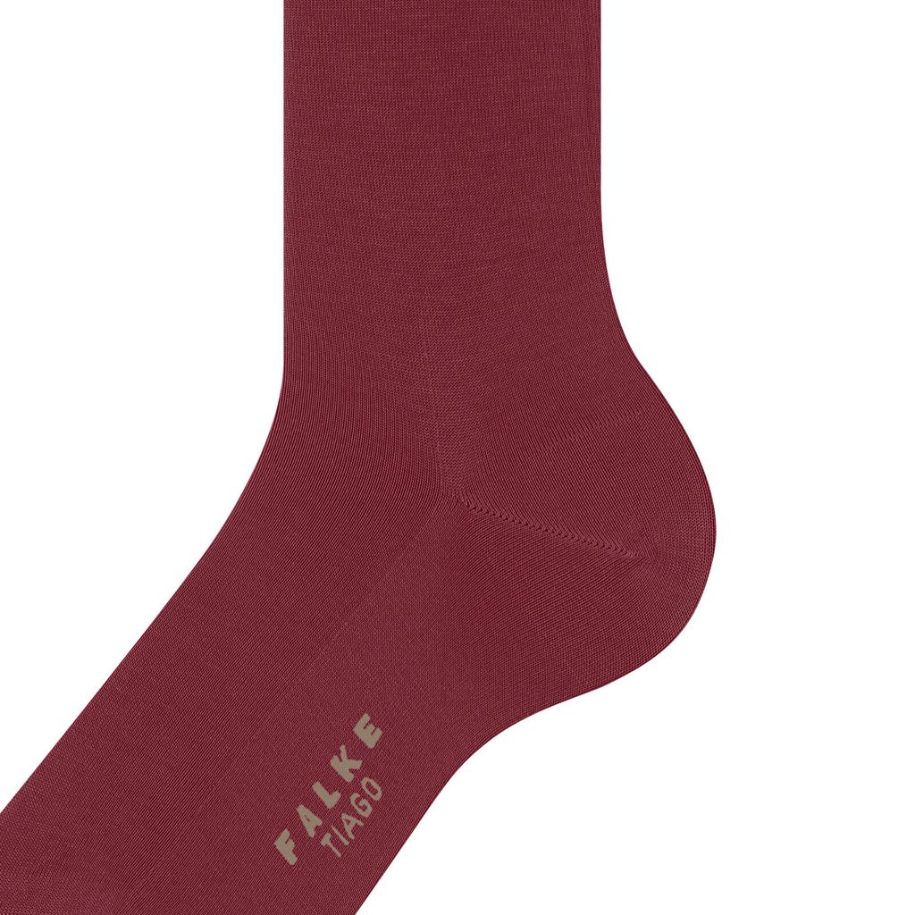 Tiago Men Socks