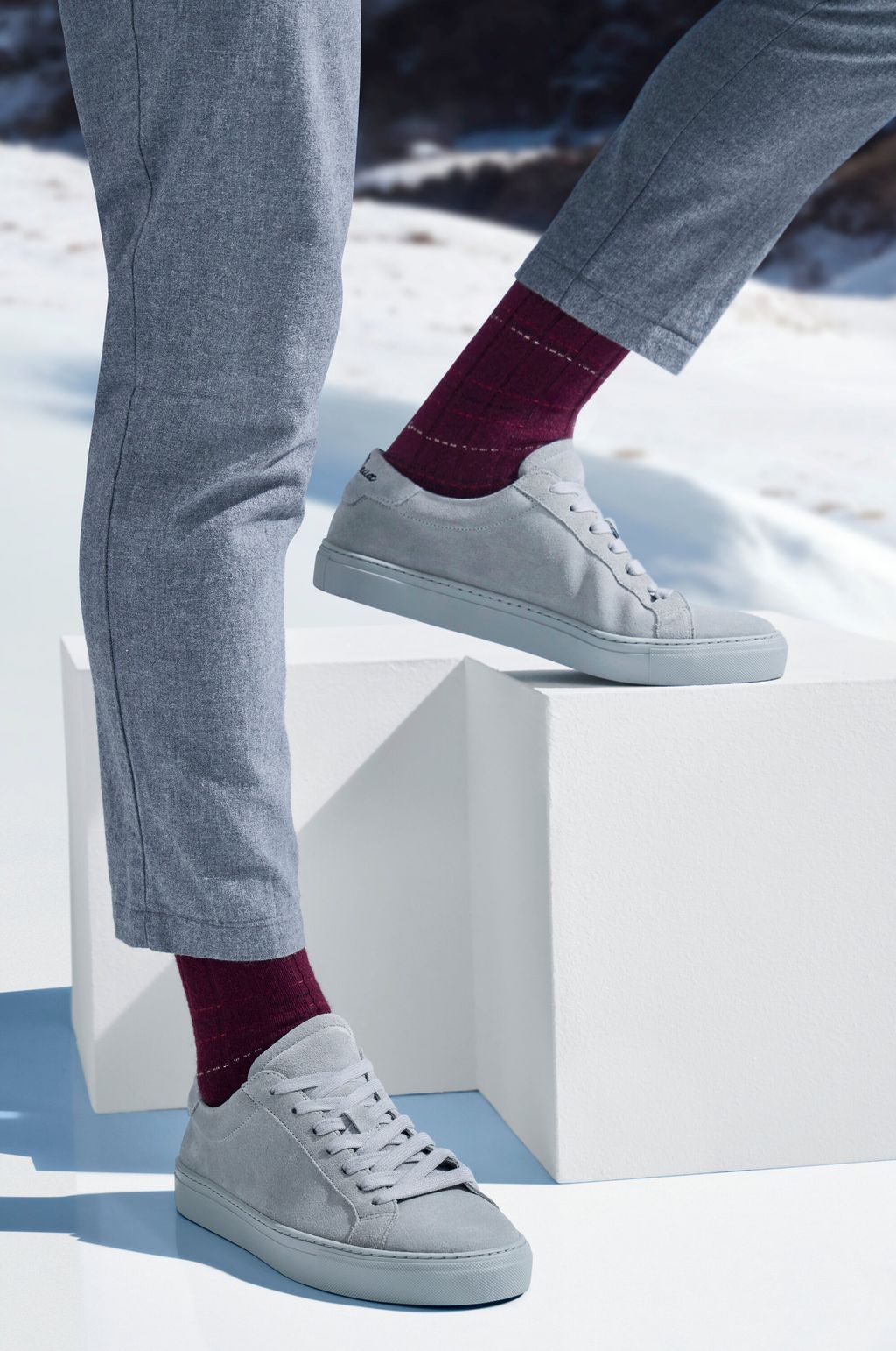 Lhasa Rib Special Edition Men Socks